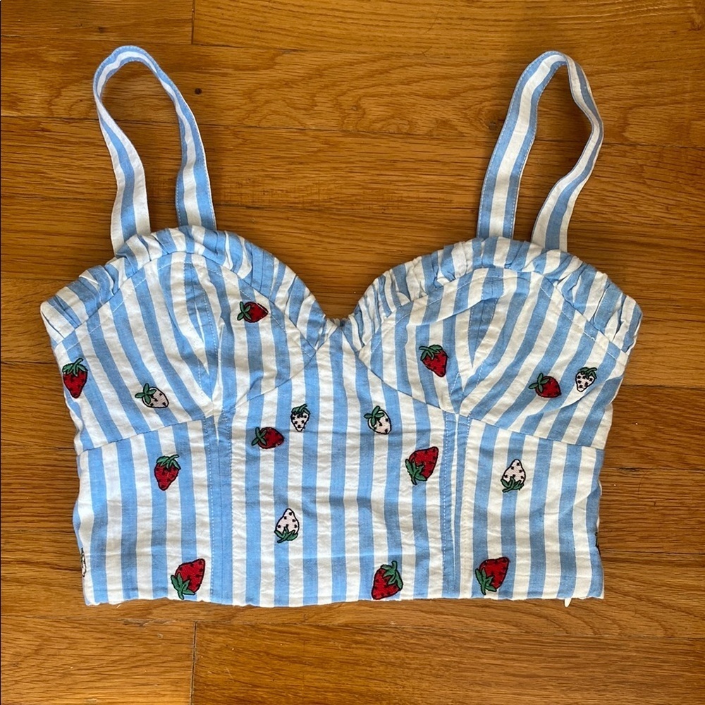 Maeve Striped Blue and White Crop Top with Strawberry Print